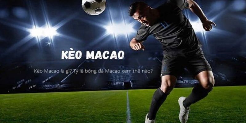 Chiến lược theo dõi biến động chấp trước trận 1 giờ