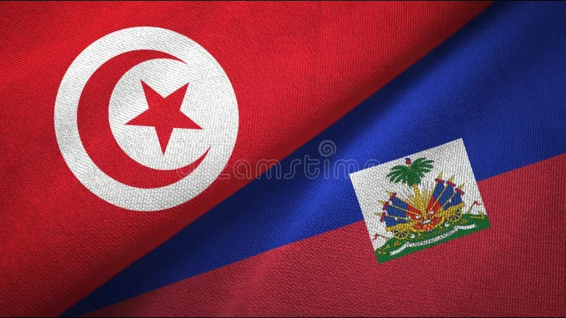 Cầu thủ Haiti và Tunisia đấu quyết liệt trên sân cỏ